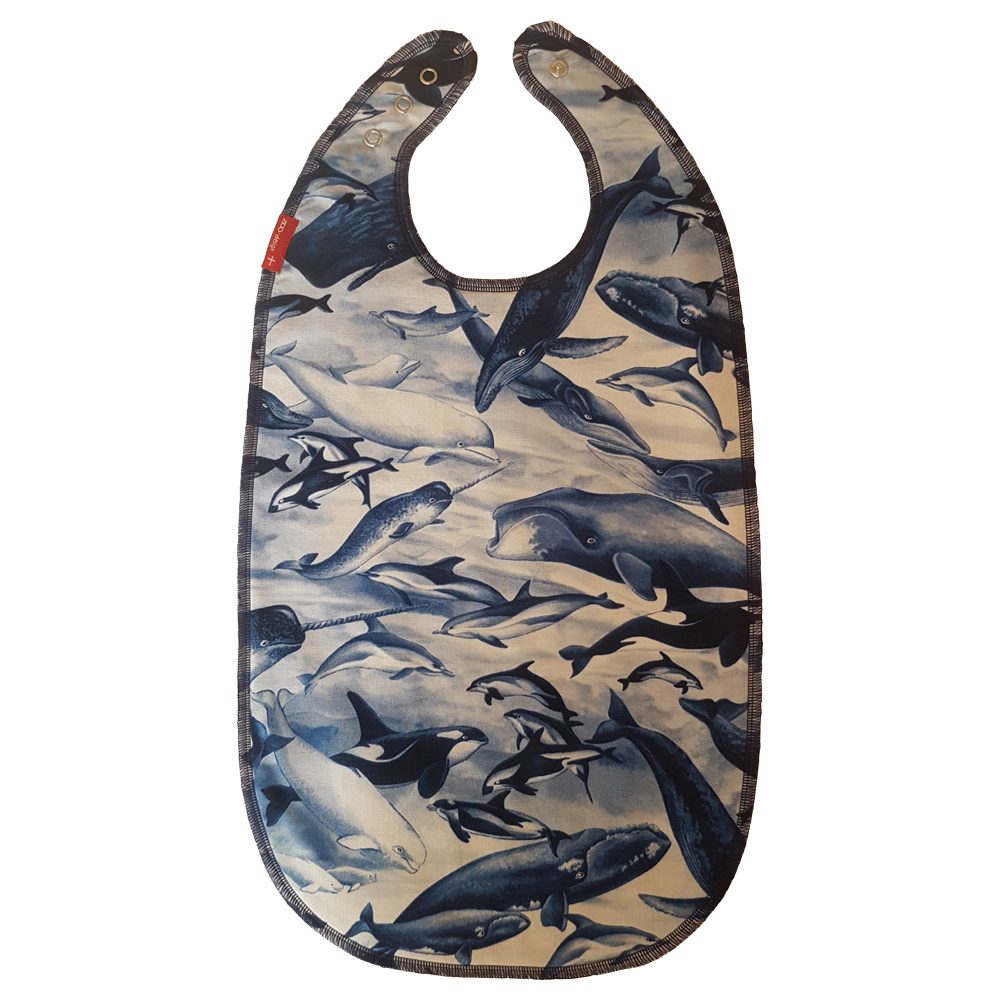 Dolphins and more   ZOO design